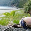 「世界自然遺産、吉とでるか？凶とでるか？―奄美大島が生きる道―」