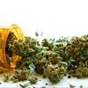 The Health Impacts Of Cannabis - Knowledgeable Opinions