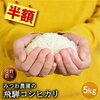 【🈹 50％OFF ⇒ ￥1,990 税込💟】令和5年産 5kg 飛騨産 コシヒカリ 5kg 白米
