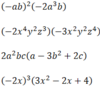 整式の加法・減法・乗法：(単項式)×(単項式),(単項式)×(多項式)の計算2