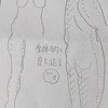 皮は時間がかかりますね