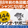 魚と水遊びのコレクション｜魚のTシャツ等の商品購入