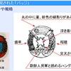 北朝鮮　国松長官狙撃事件の遺留品「朝鮮人民軍バッジ」その１