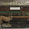 賀茂御祖神社(下賀茂神社)