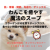 わんこを癒やす魔法のスープの作り方　犬のボーンブロスセミナーのご案内　あじな動物病院