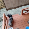 1人暮らしって大変