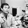 ノーベル賞受賞者・中村修二という男が日本人から嫌われる理由