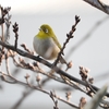 2019年2月末の資産状況