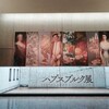 				2019年11月ハプスブルク展（国立西洋美術館・東京上野）		