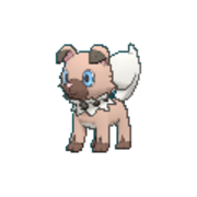 はじめよう ポケモンカード コロコロコミック１月号付録のイワンコ全力デッキを改造する ルガルガンgxデッキ のかんぞうのポケモンやるんぞう