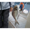 海釣り公園に行きたい！！