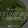 2639食目「キャベツ1玉1,000円超えの高級食材に!?」全国的にいくらなんだろう。