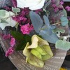 Daily Flowers  5/15/2024