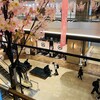 失敗の本質・外交力の欠如（後悔先に立たず）