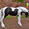Horse Ranch（20）