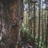 【鳳来】VTEC var. 5.12a 