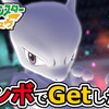 【ポケットモンスター Let's Go! ピカチュウ】【クリア後】#21 ミュウツーをモンボでゲットしたい！【ゆっくり実況あり】