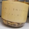 示相化石としてのヤッコカンザシのタイプ標本
