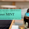 チョコミント好き必見！大阪コリアタウンのおしゃれカフェ「love MINT」のかわいすぎるスイーツがエモい