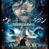 ファンタジー映画感想45   ウィッチ・アンド・ドラゴン　秘密が見える少女 