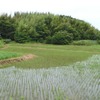 田園風景