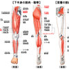 血流が悪いのは骨盤が開いてるからなんです！！！