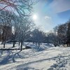 札幌 雪化粧