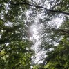 学研教室から進学塾に変更　塾代はいくら上がった？
