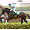 勝ち馬にマークされ、最後の急坂で甘くなってしまったところを差し込まれて４着に終わるも、先を睨んでの仕上げでしたし、重馬場を走り抜いた疲れ・ダメージを最小限に止められたのは良かった。中２週のローテで臨むＮＨＫマイルＣでの巻き返しを期待。☆ピクシーナイト