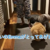 2021.9.22  【Emmaのおまじない‼️】  Uno1ワンチャンネル宇野樹より