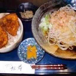 おそばだうどんだ越前