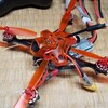 Toothpick Eachine Red Devil