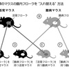 あなたを根本的に変えるたった１つの方法