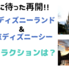 『待ちに待ったディズニー再開！』再開に向けての楽しみ方はどうなる？その3