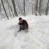 スノーボーダーがシャバ雪を攻略するための3つのポイント！！