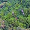 空を飛んでみたいよなってね／静岡県三島スカイウオークにて