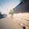 【フィルム】ピンホールカメラの続編