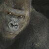 『塩顔』とかいうパワーワード