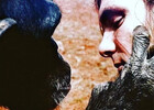 『Project Nim』ニムの感動の旅 : 人間に翻弄され続けたチンパンジーの数奇な運命　第五夜