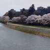 犀川の桜　平成30年4月2日