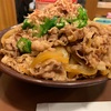 【シリーズ第４弾】すき家　ボーノ相模大野店〜かつおぶしオクラ牛丼／キング／キング牛丼／ゼンショー／大食い〜