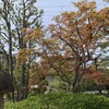 食欲はある