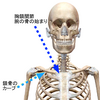 鎖骨の骨折から起きる後遺症といえるようなつらさは、いったん施術で動けるように改善させてから、それを維持できるようセルフケアを欠かさずに。