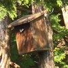 野鳥の巣箱