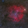 IC1396