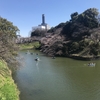 靖国神社から千鳥ヶ淵を通って東京駅までお散歩です