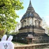 チェンマイのヘビ🐍の寺院”ワットジェットヨート”の見どころはヨート【ヨート（塔）編】
