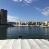 天気が良かったから久しぶりにアワイチしてきたよ。