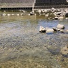 日記　GW後半3日　安威川遊びから見山の郷そしてダムパーク茨木から管理事務所