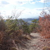 桶居山へのハイク（その３）桶居山山頂から下山路
